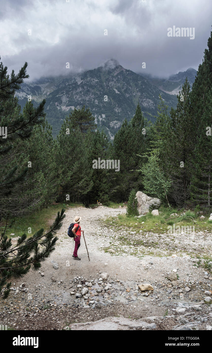 Vista laterale di un escursionista femmina con zaino in piedi nella foresta contro il cielo nuvoloso Foto Stock