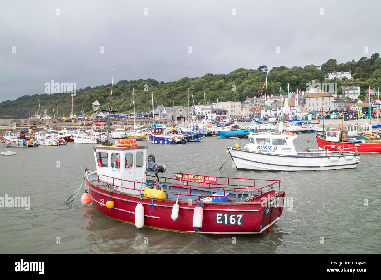 La pesca e le imbarcazioni da diporto ormeggiata in Lyme Regis Harbour, Dorset, England, Regno Unito Foto Stock