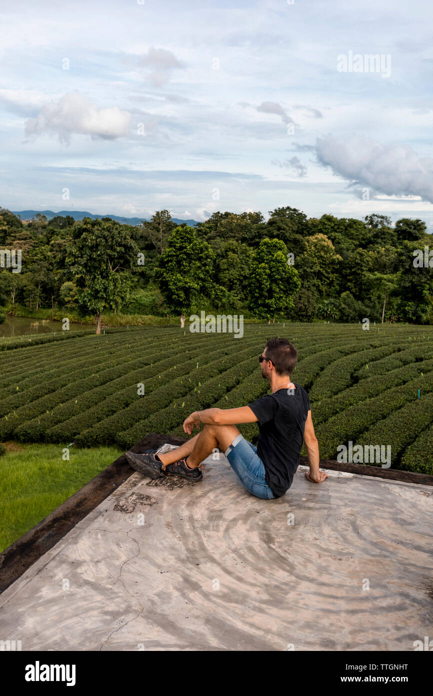 Uomo che guarda una vista panoramica di coltivazioni di tè in una fattoria in Chiang Rai, tailandese Foto Stock