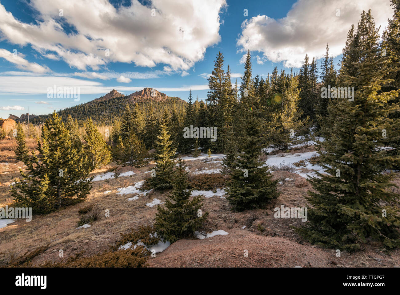 Paesaggio in Lost Creek deserto Foto Stock