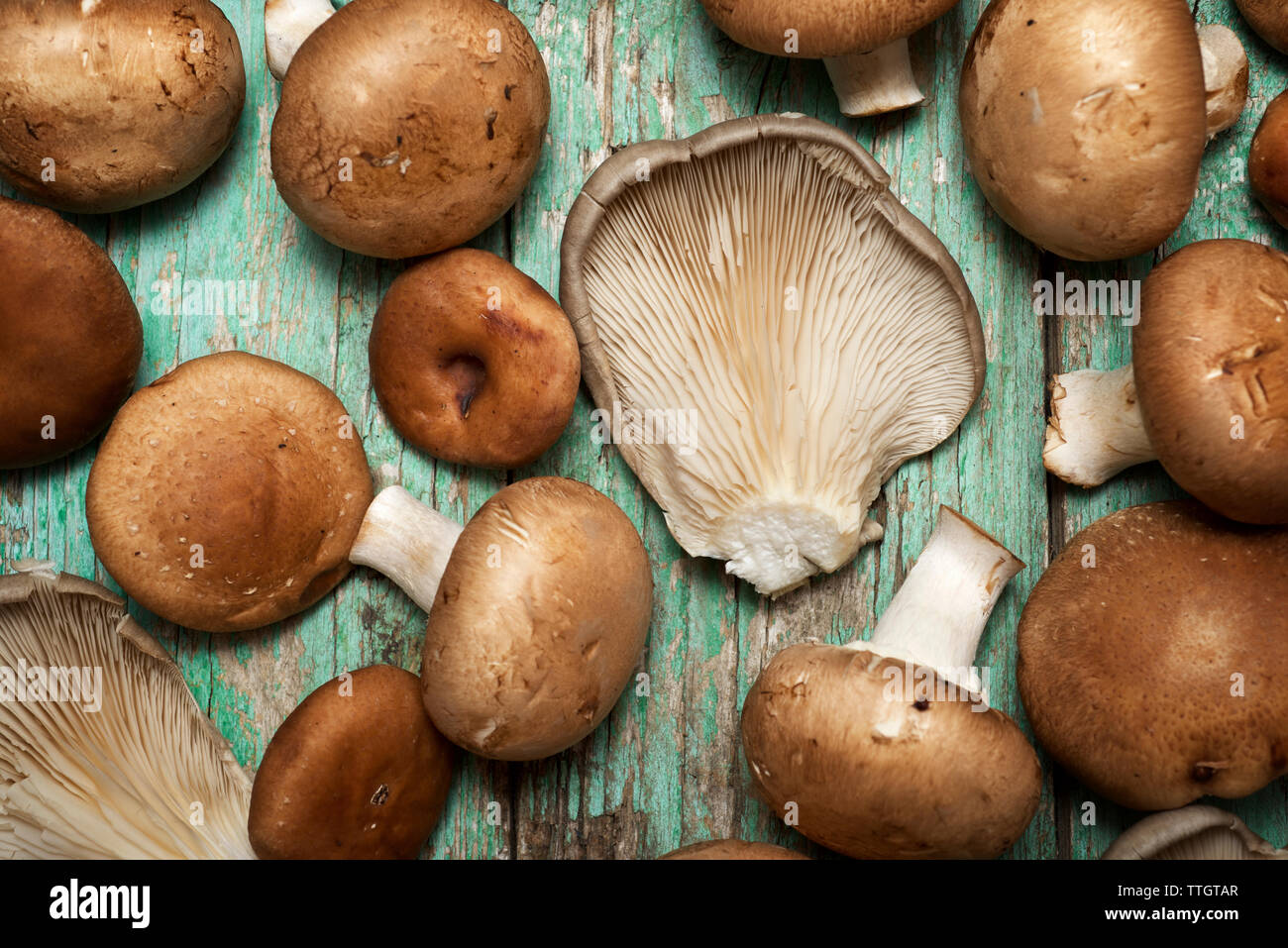 Funghi su una tavola di legno Foto Stock