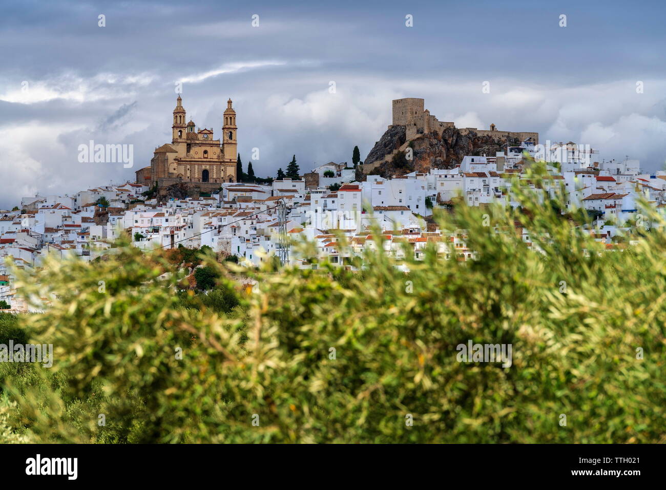 Città Bianca (pueblos blancos) di Olvera, la provincia di Cadiz Cadice, Spagna Foto Stock