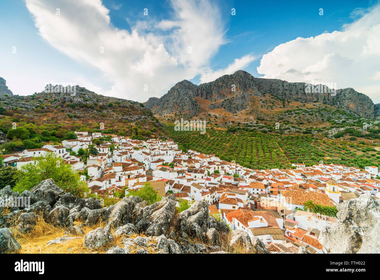 Città Bianca (pueblos blancos) di Montejaque, Andalusia, Spagna Foto Stock
