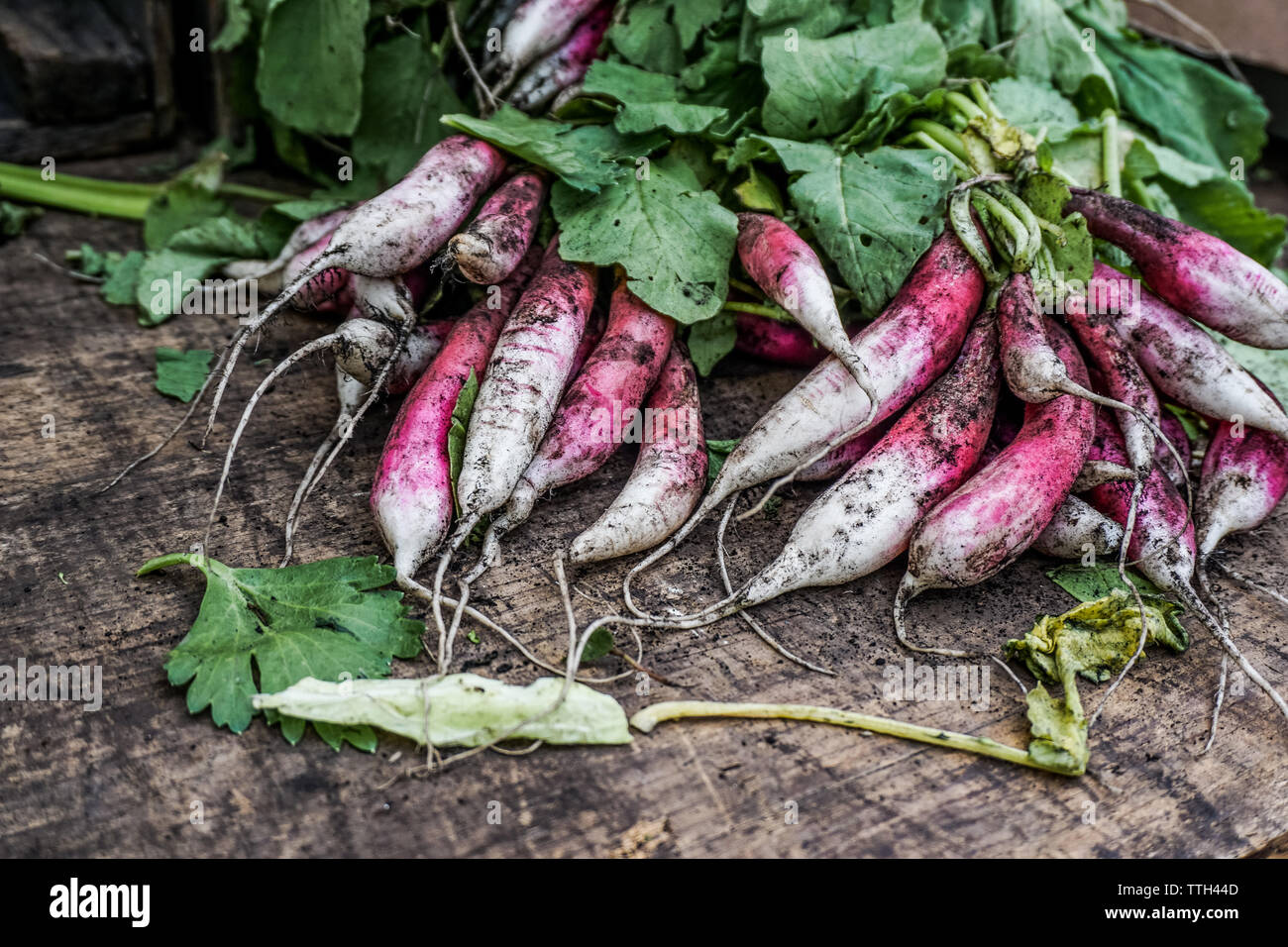 Grappolo di ravanello organico sul piano portapaziente all'aperto il mercato degli agricoltori Foto Stock