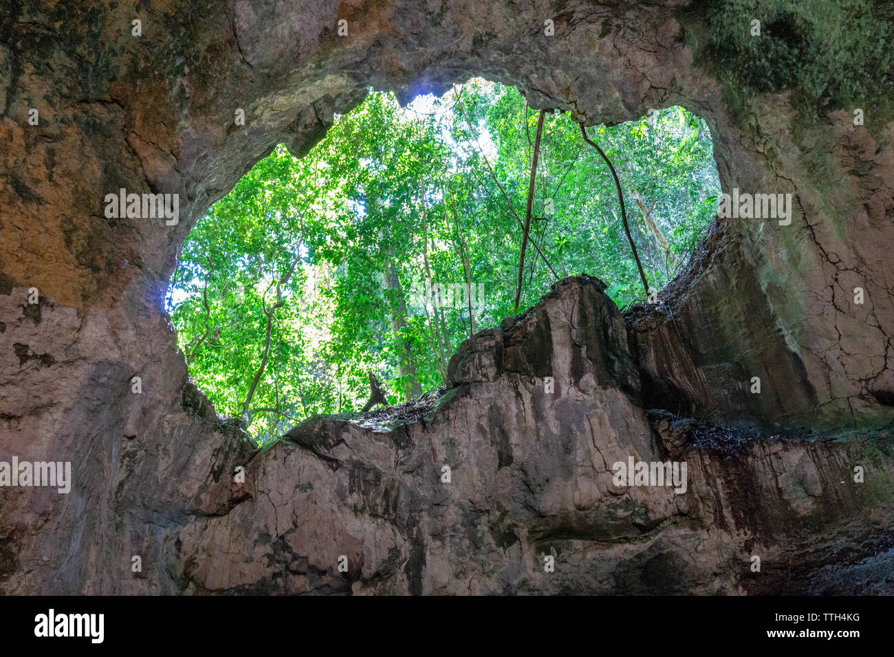 Vista dall'interno di una caverna nel Parco Nazionale Los Haitises Foto Stock