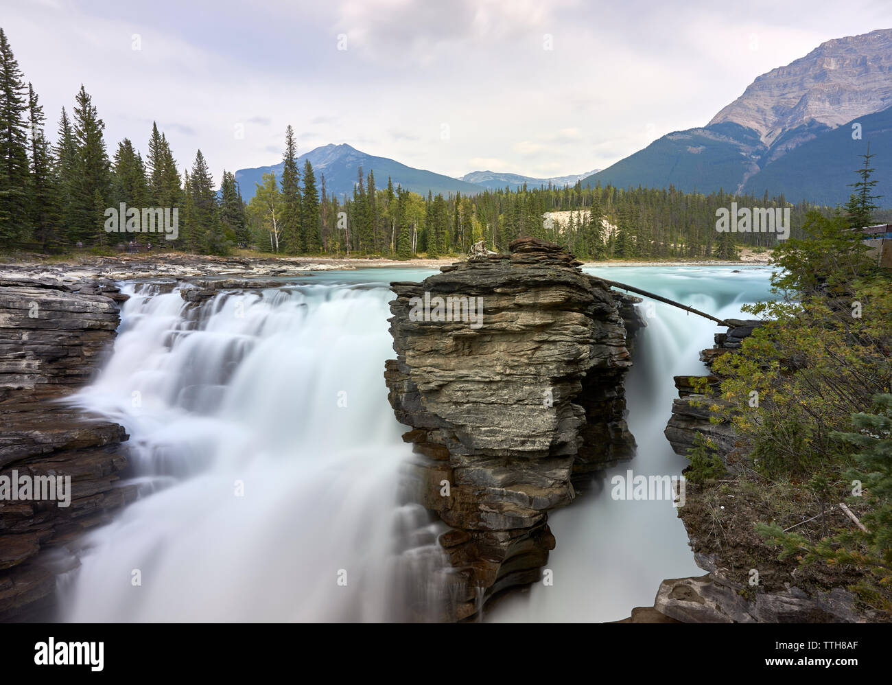 Scenario di Cascate Athabasca, Jasper National Park, Alberta, Canada Foto Stock