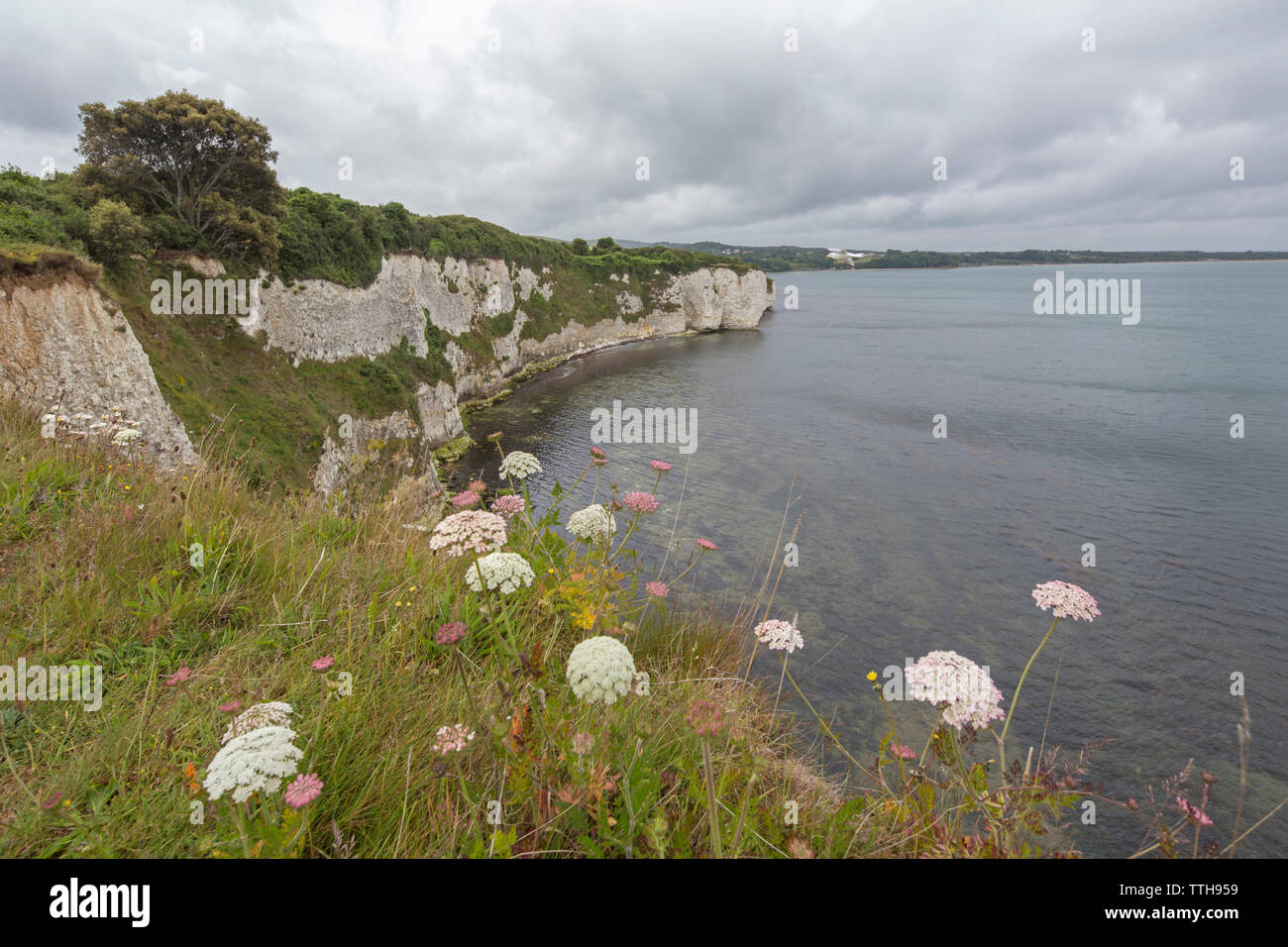 Punto Handfast, Isle of Purbeck, Jurassic Coast, un sito Patrimonio Mondiale dell'UNESCO nel Dorset, England, Regno Unito Foto Stock