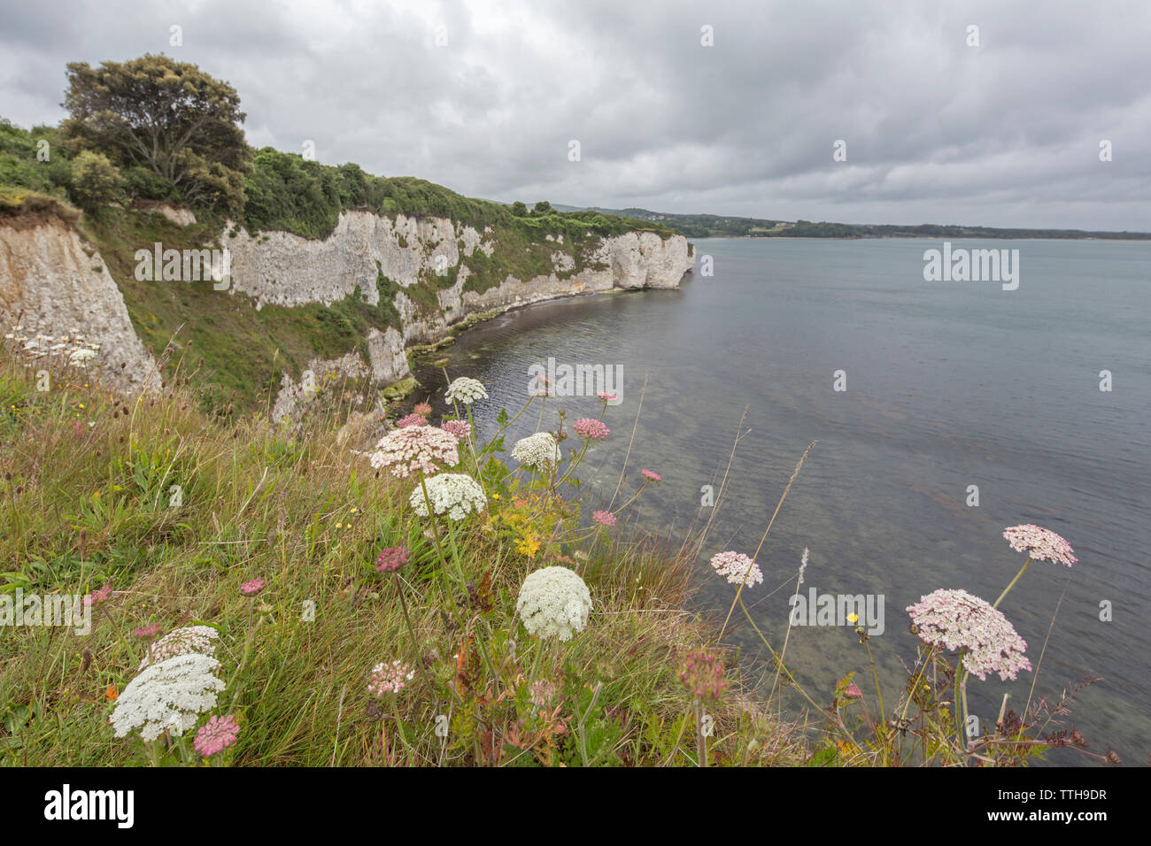 Punto Handfast, Isle of Purbeck, Jurassic Coast, un sito Patrimonio Mondiale dell'UNESCO nel Dorset, England, Regno Unito Foto Stock