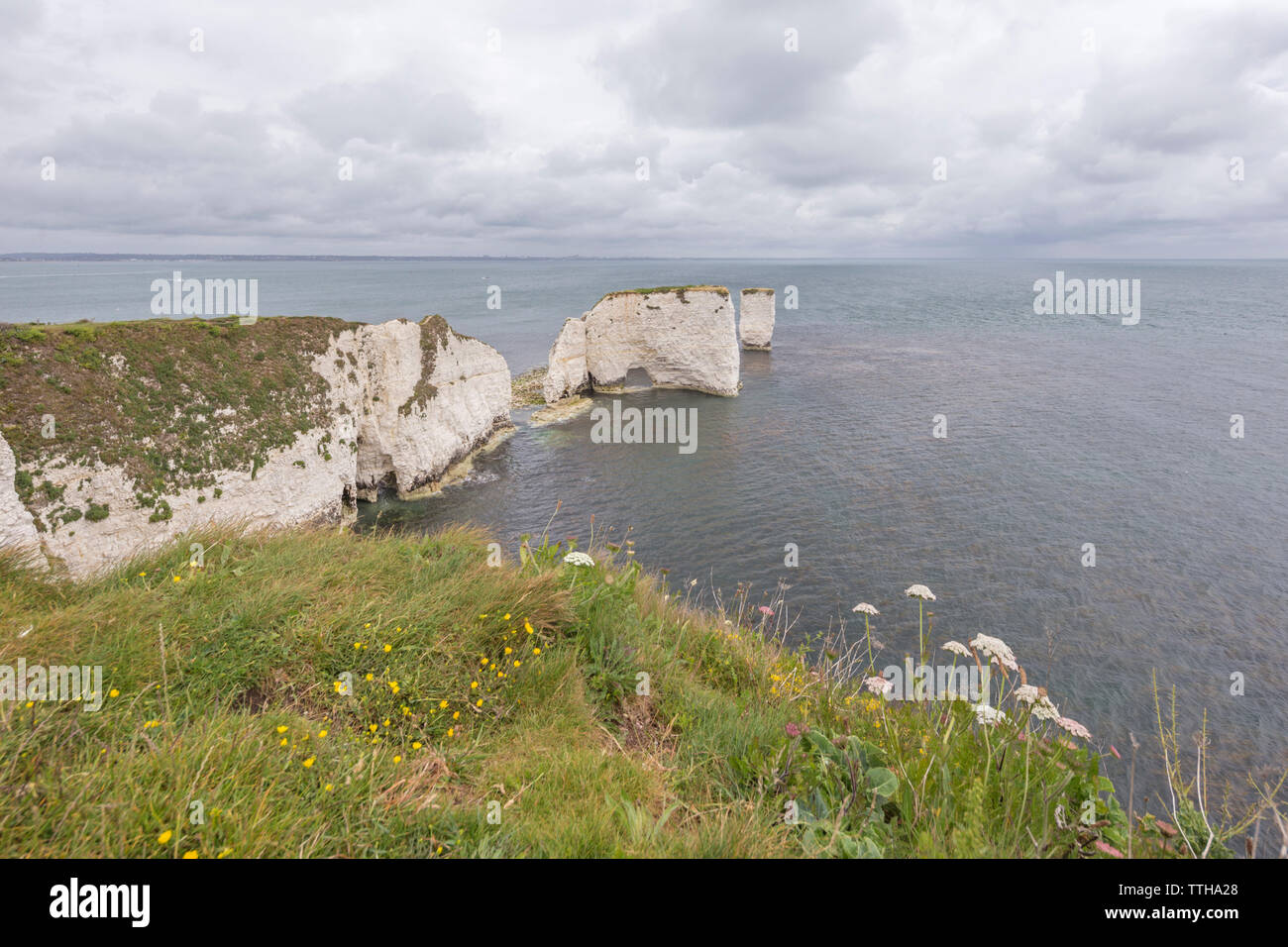 Vecchio Harry rocce al punto Handfast, Isle of Purbeck, Jurassic Coast, un sito Patrimonio Mondiale dell'UNESCO nel Dorset, England, Regno Unito Foto Stock