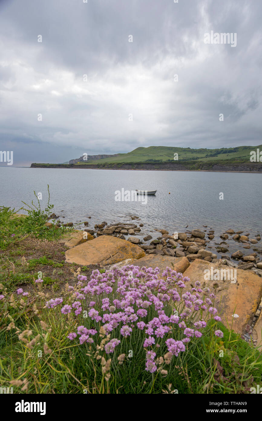 Kimmeridge Bay si trova all' interno di un marine zona speciale di conservazione, Dorset, England, Regno Unito Foto Stock