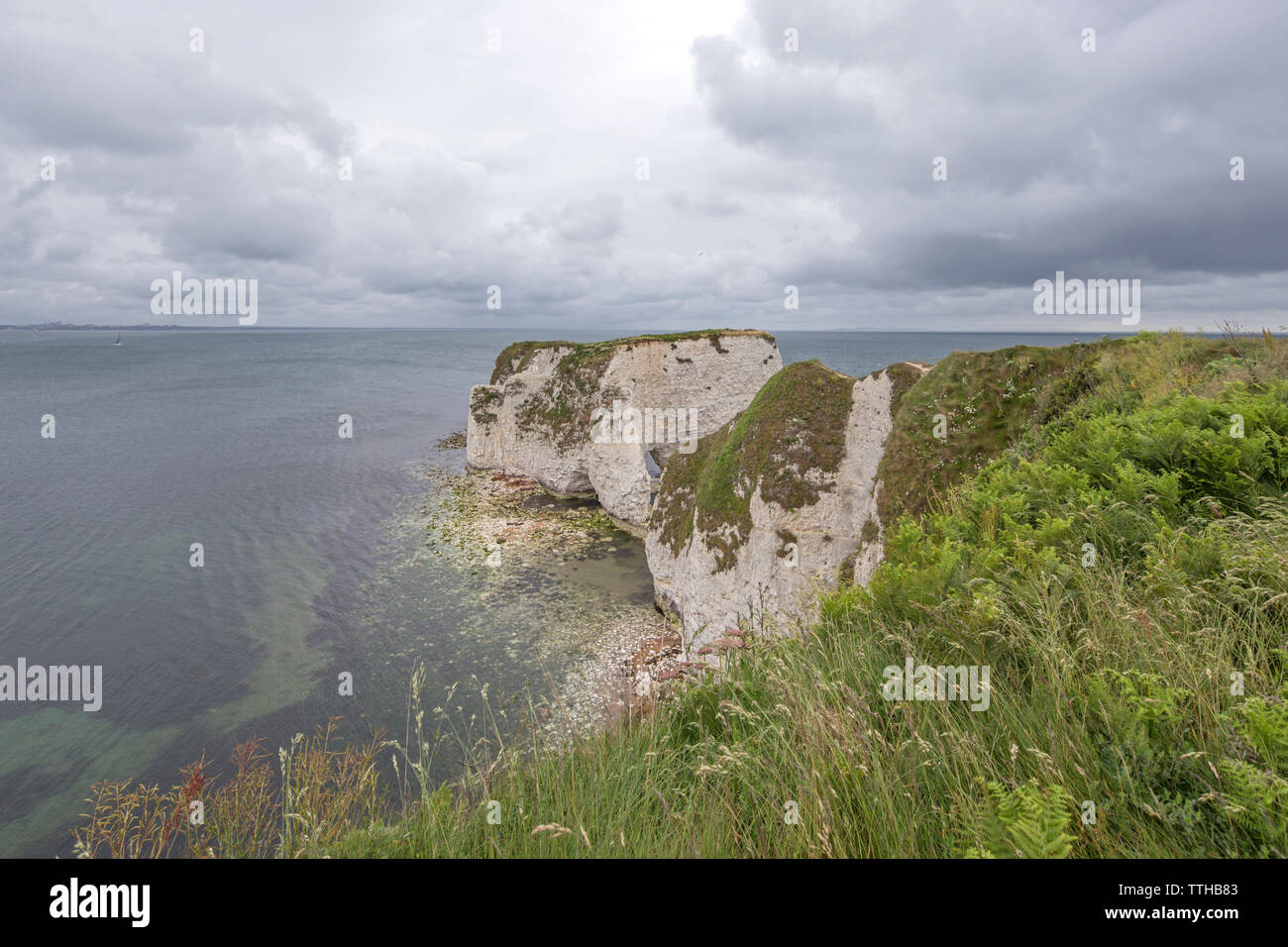 Vecchio Harry rocce al punto Handfast, Isle of Purbeck, Jurassic Coast, un sito Patrimonio Mondiale dell'UNESCO nel Dorset, England, Regno Unito Foto Stock