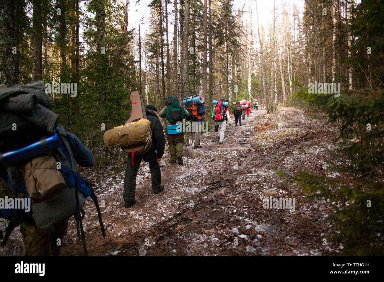 Maschio di escursionisti a piedi nella foresta Foto Stock