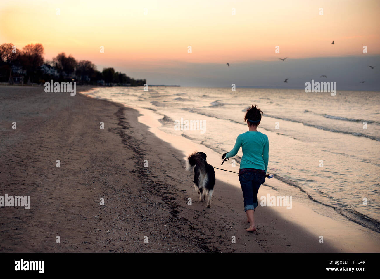 Vista posteriore della donna che cammina con il cane sulla riva del mare durante il tramonto Foto Stock