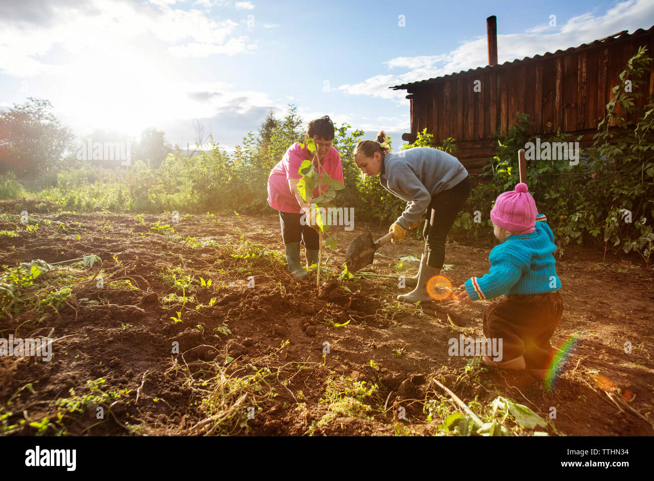 Le donne che lavorano sul campo durante la giornata di sole Foto Stock