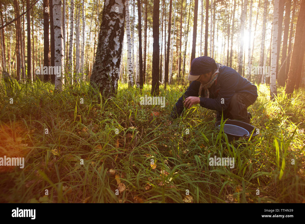 L'uomo la raccolta di funghi sul campo nella foresta Foto Stock