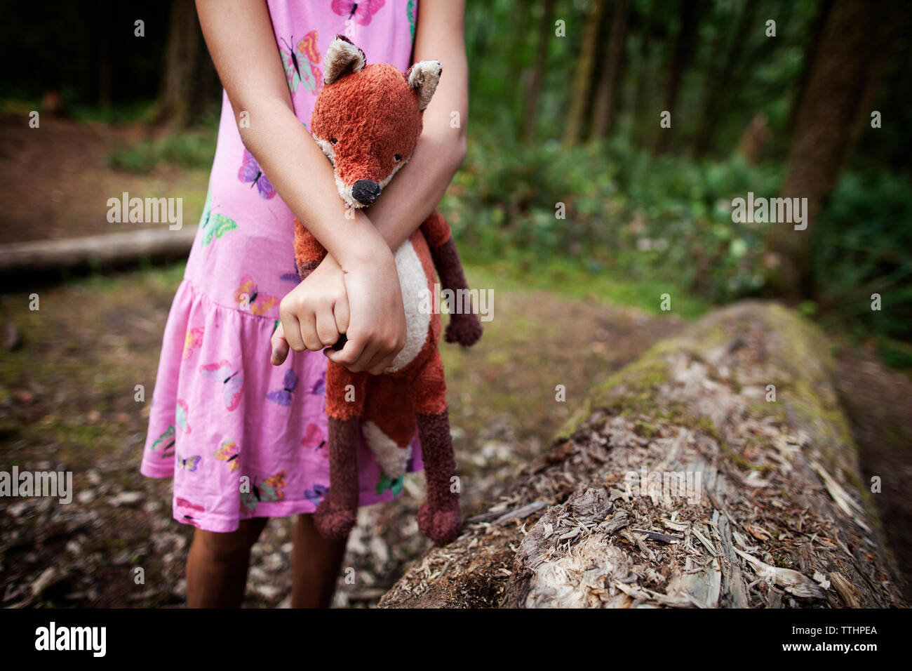 Sezione mediana della ragazza con giocattolo imbottito da albero caduto nella foresta Foto Stock