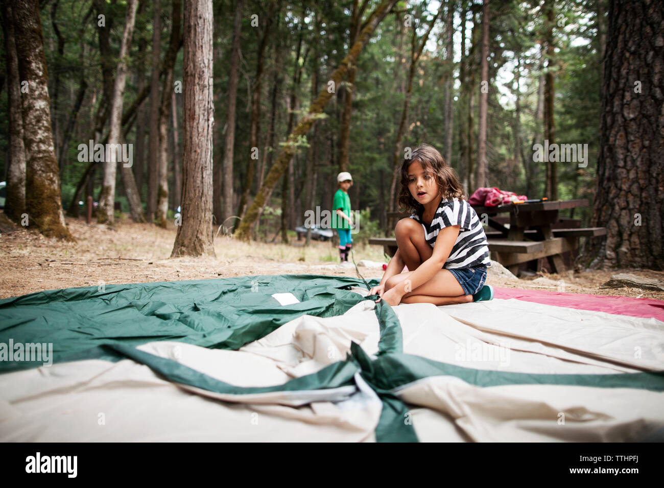 Ragazza impostazione di tenda in foresta Foto Stock