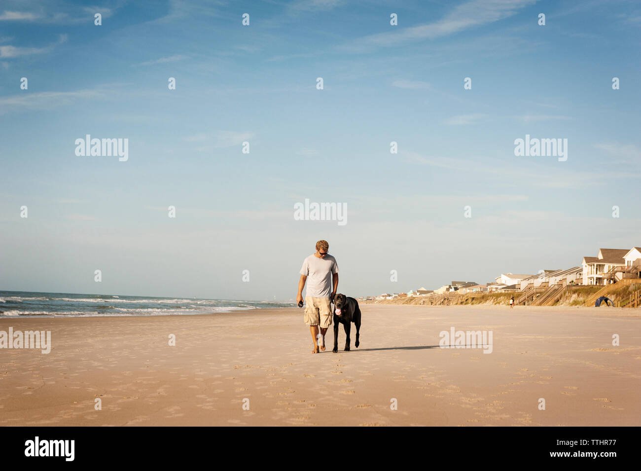 Uomo che cammina con il cane a terra contro sky Foto Stock