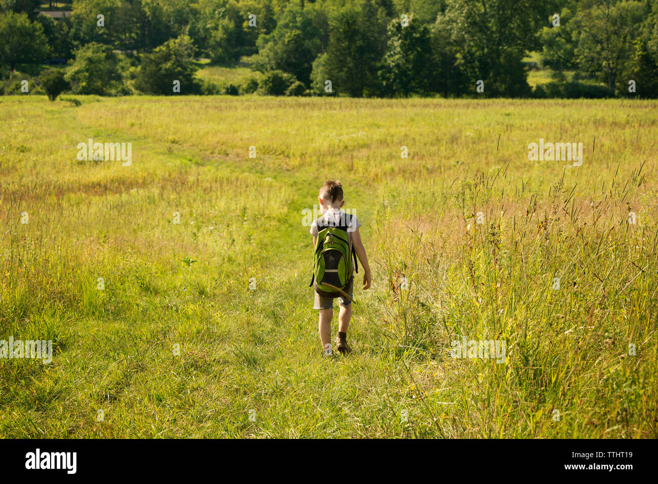 Vista posteriore del ragazzo con zaino camminando sul campo erboso Foto Stock