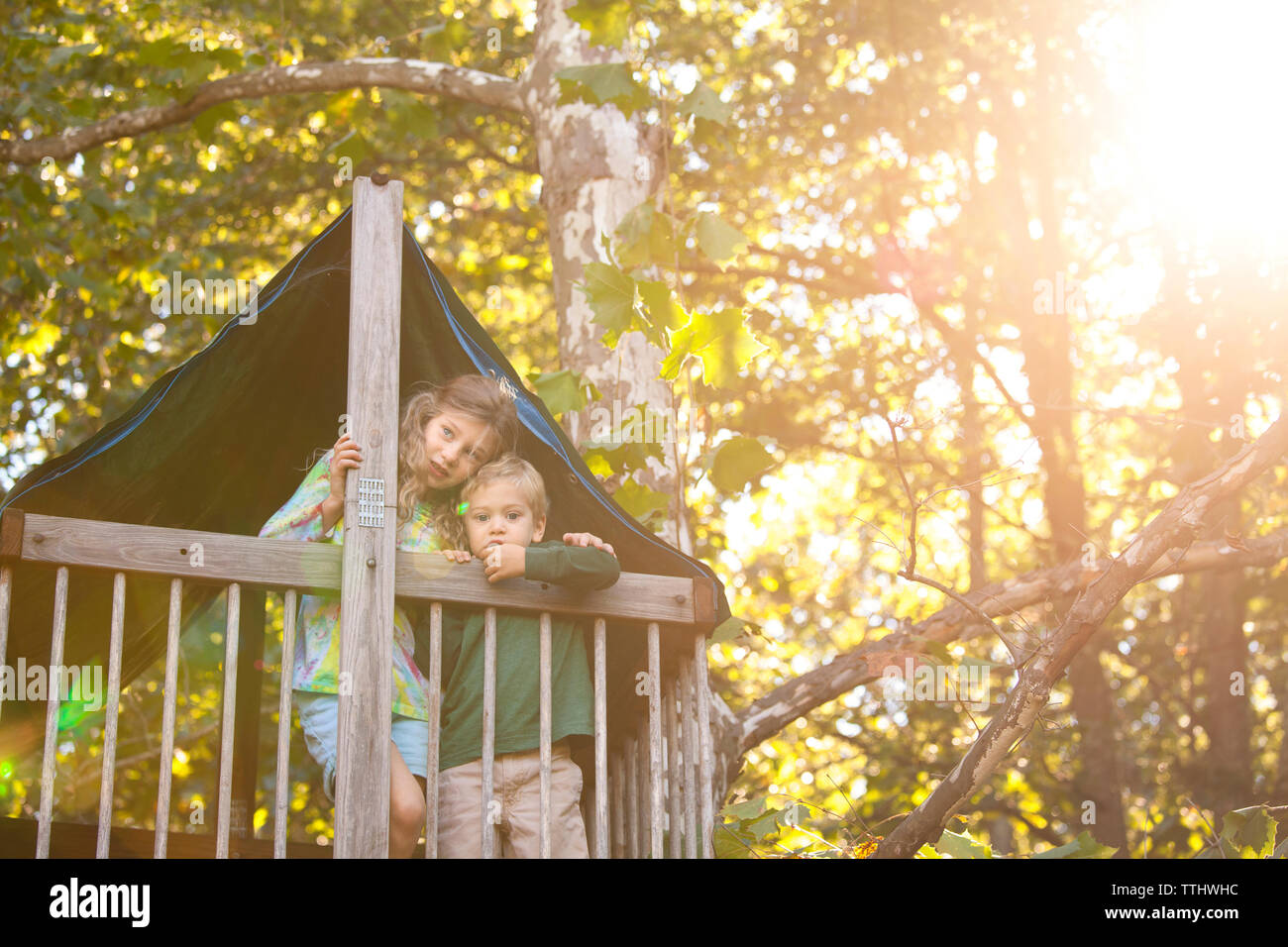 I bambini in piedi in tree house Foto Stock