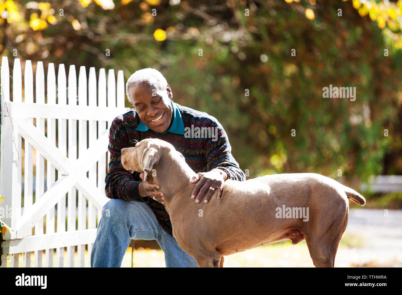 Senior uomo strofinarsi il cane a backyard Foto Stock