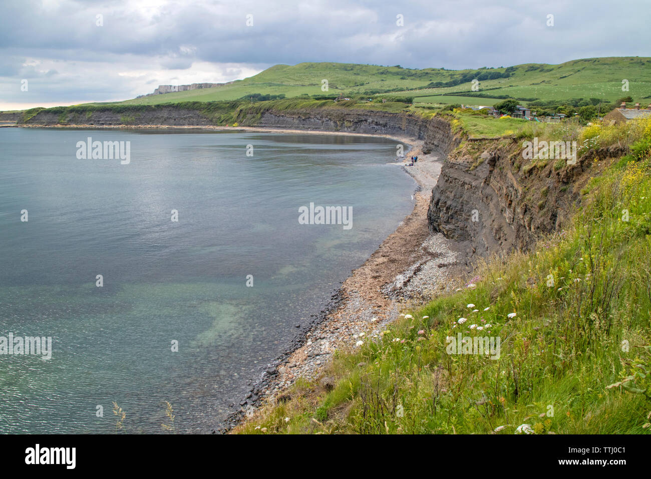 Kimmeridge Bay si trova all' interno di un marine zona speciale di conservazione, Dorset, England, Regno Unito Foto Stock