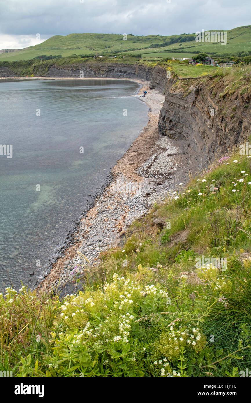 Kimmeridge Bay si trova all' interno di un marine zona speciale di conservazione, Dorset, England, Regno Unito Foto Stock
