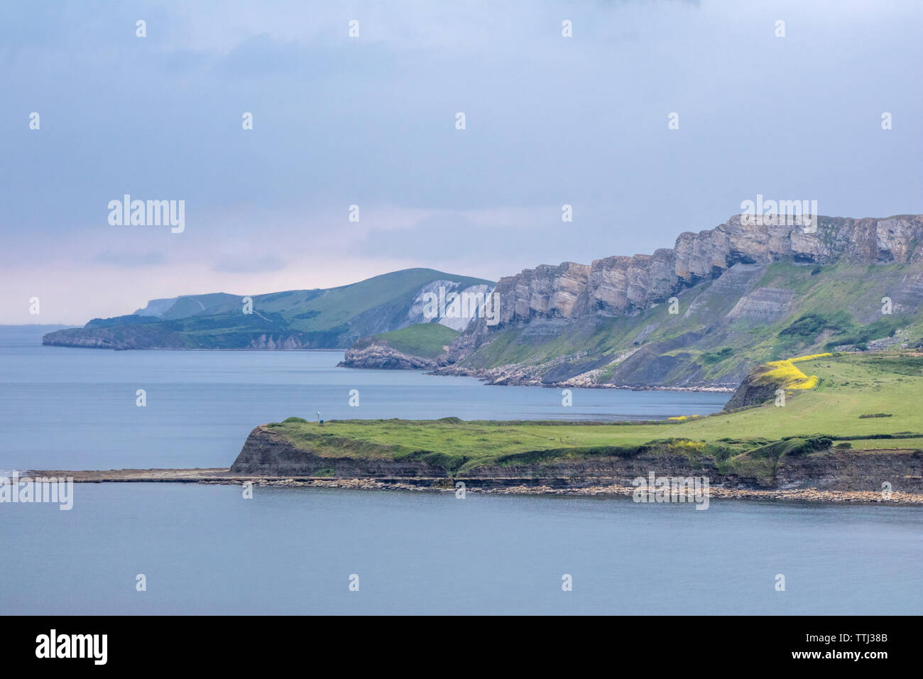 Kimmeridge Bay si trova all' interno di un marine zona speciale di conservazione, Dorset, England, Regno Unito Foto Stock