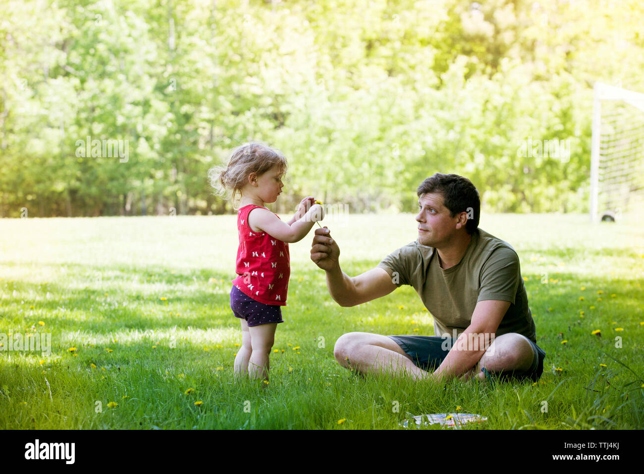 Padre dando fiore alla figlia durante la seduta sul campo erboso a park Foto Stock
