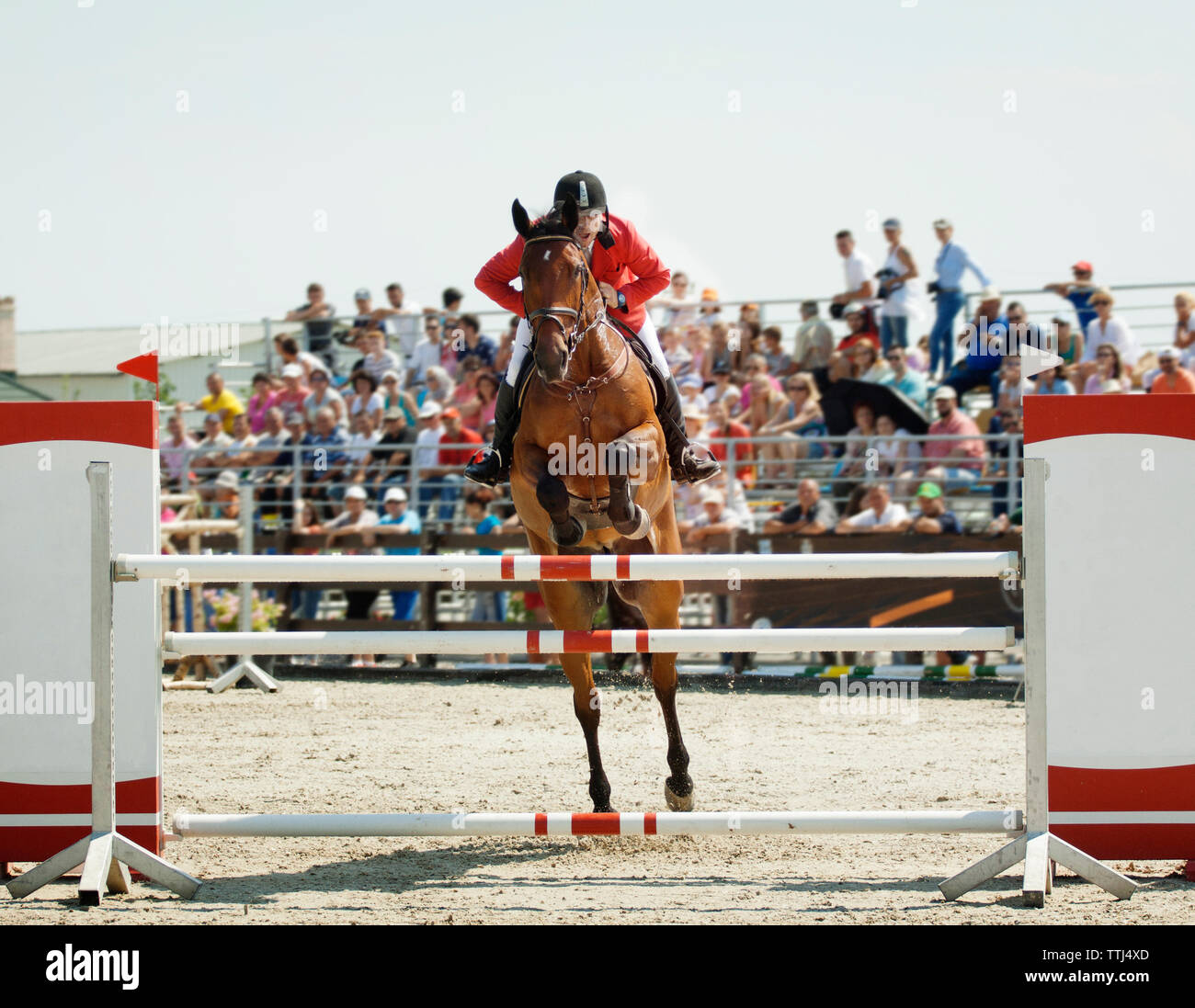 Uomo a cavallo durante il salto a ostacoli a sport event Foto Stock