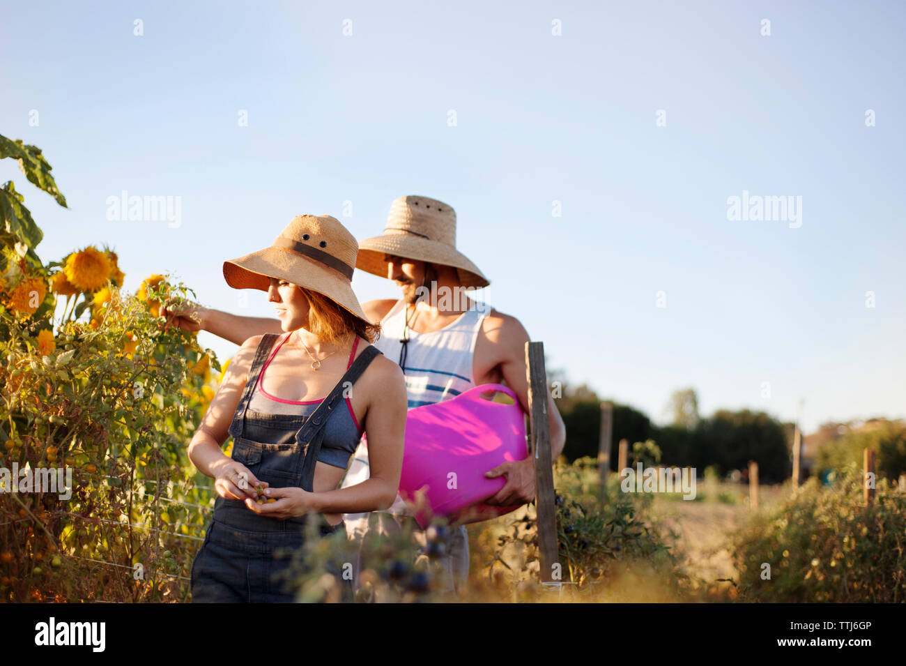 Coppia in cerca di fiori in aziende agricole contro il cielo chiaro Foto Stock