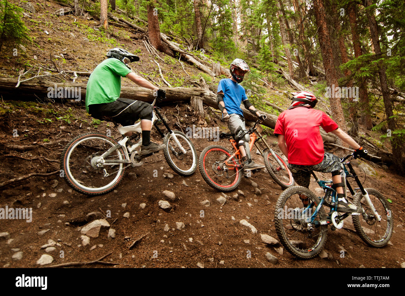 I ciclisti con le biciclette in foresta Foto Stock
