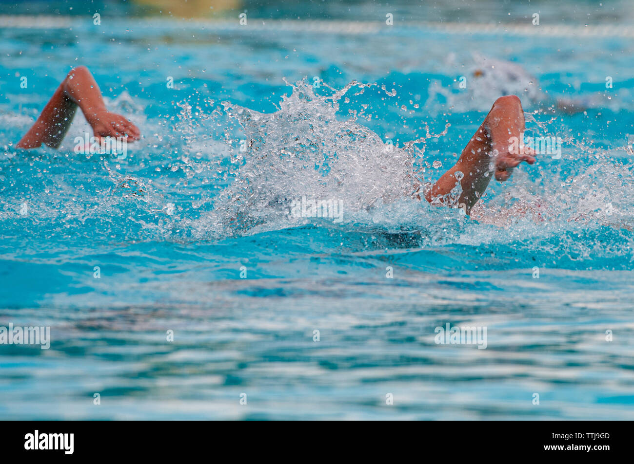 Gli atleti non riconosciuto nuoto freestyle su una piscina durante un campionato di pallanuoto gioco Foto Stock