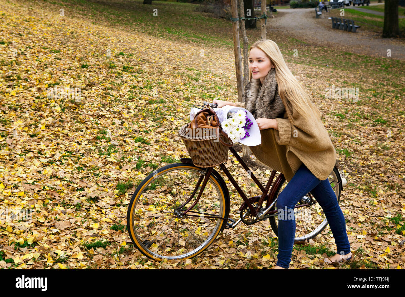 Donna con la bicicletta sul campo Foto Stock