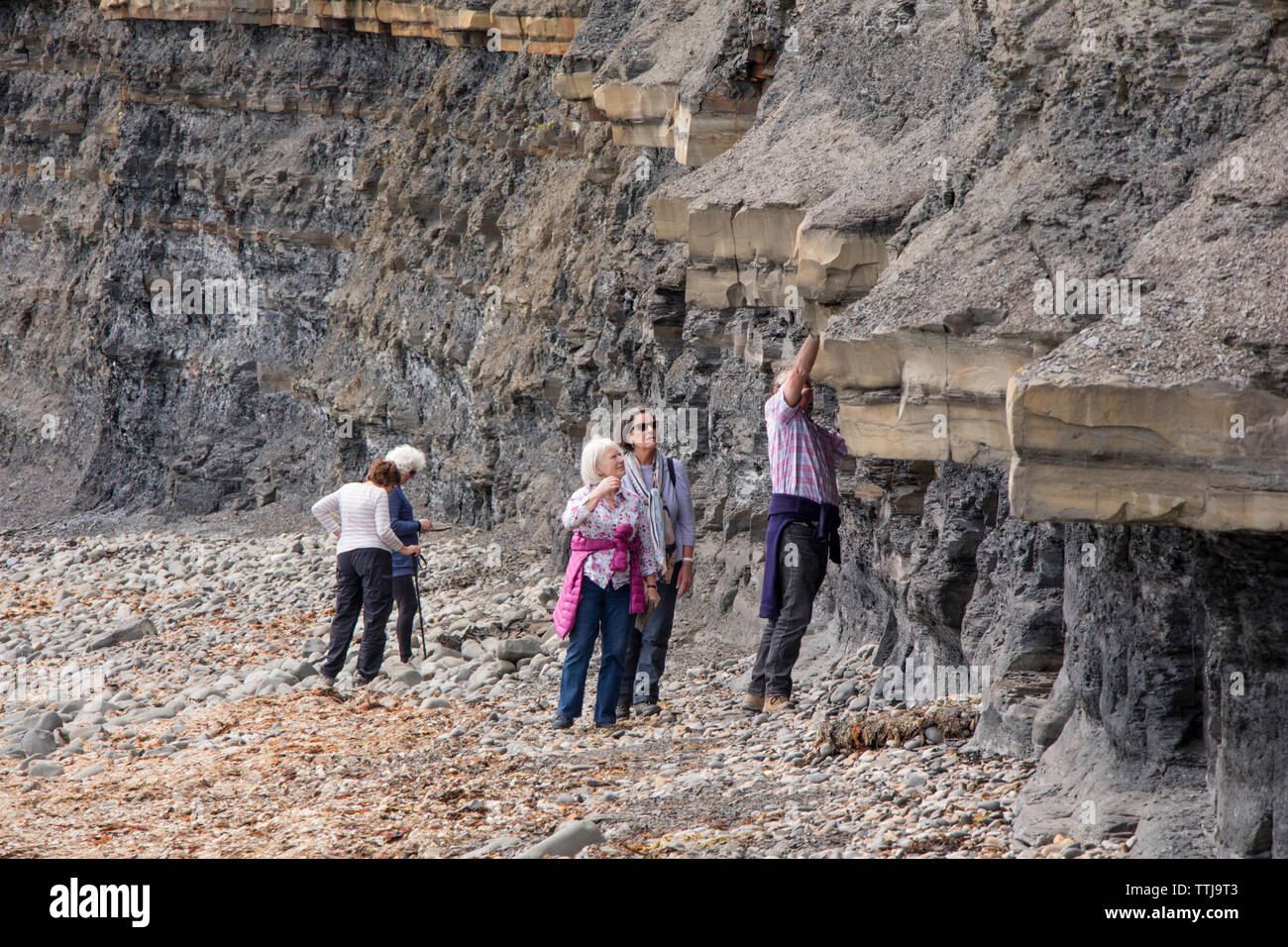 I turisti a piedi scogliere instabili a Kimmeridge Bay Dorset, England, Regno Unito Foto Stock