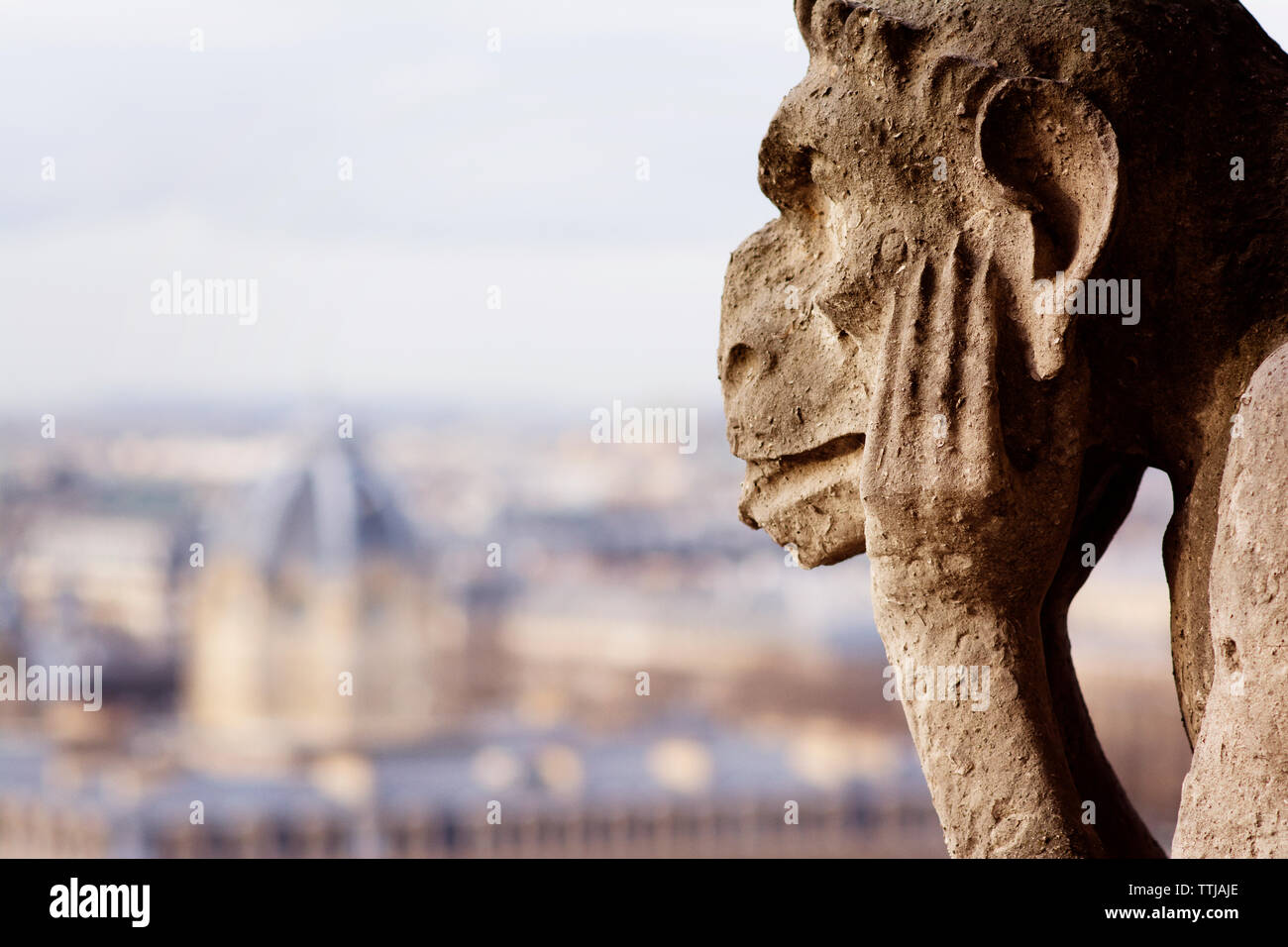 Close-up di Gargoyle Foto Stock