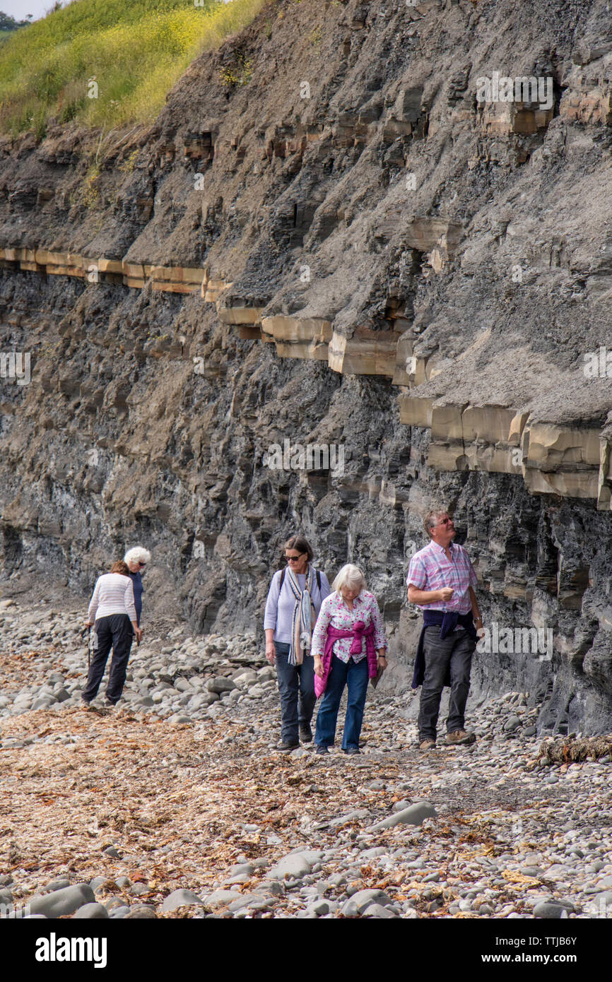 I turisti a piedi scogliere instabili a Kimmeridge Bay Dorset, England, Regno Unito Foto Stock