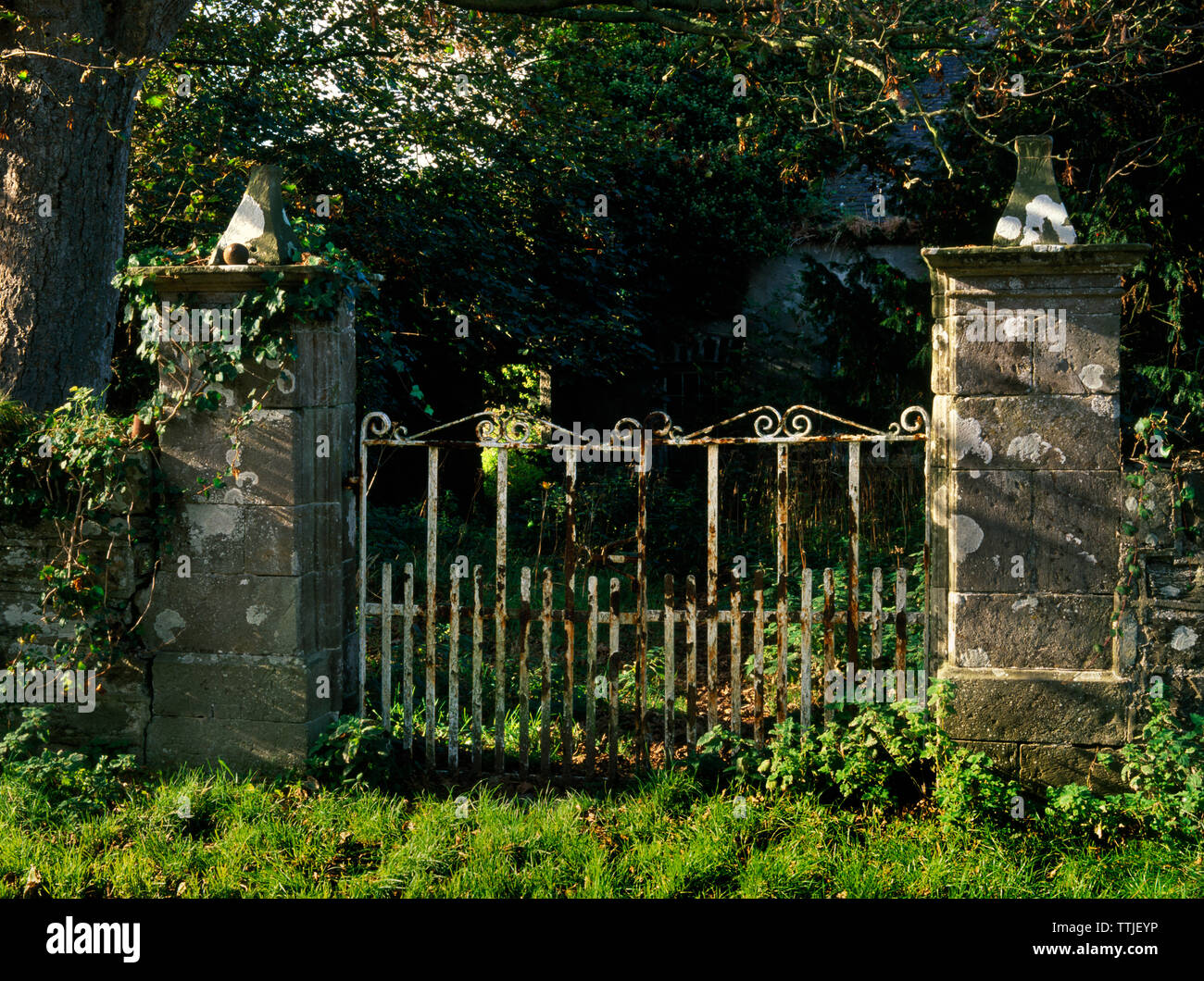 Visualizzare NW del gateway al cortile sud di Caerau fine C17th house N di Llanfairynghornwy, Isola di Anglesey, Galles, UK. Foto Stock