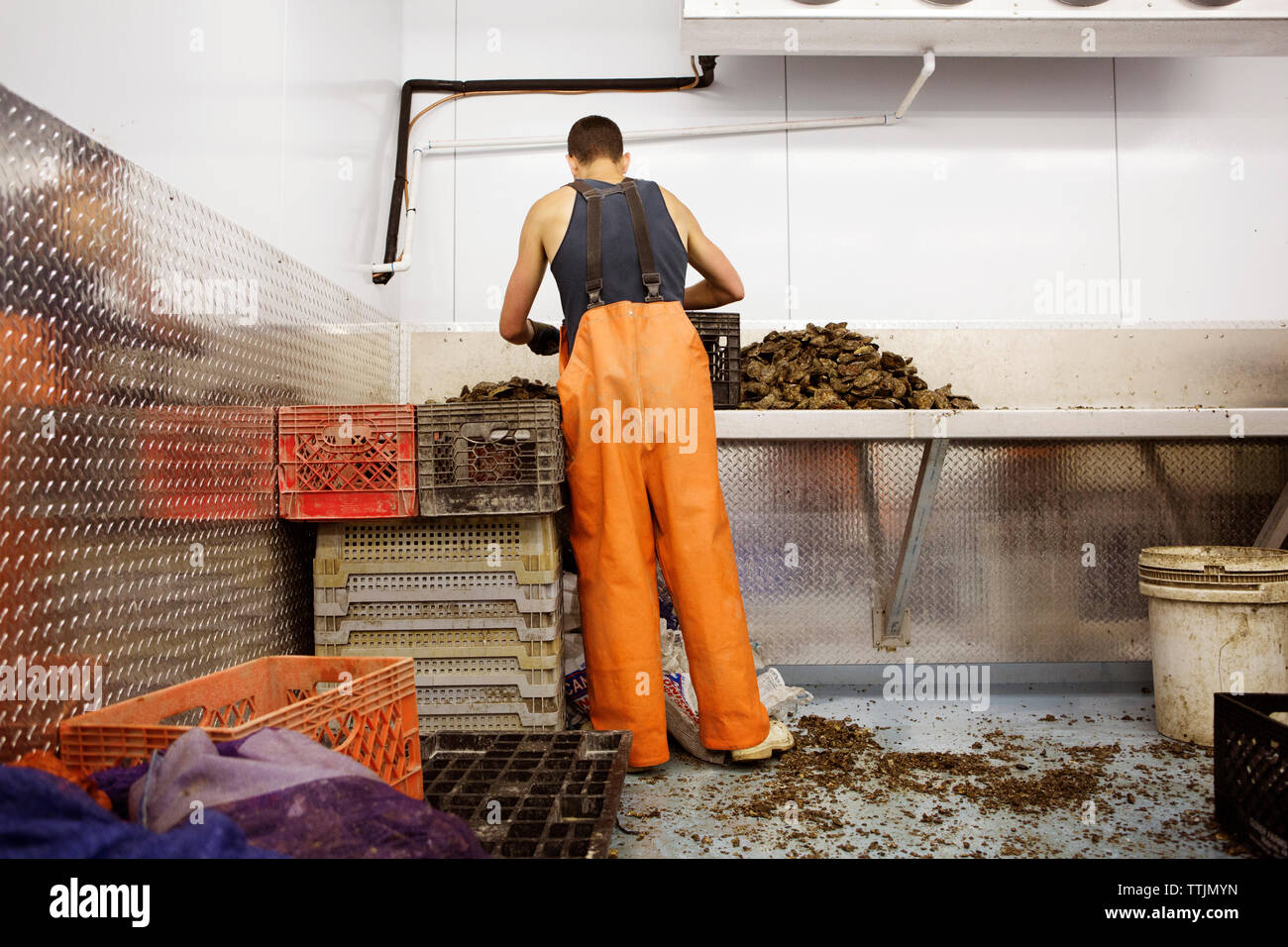 Vista posteriore di uomo che lavora nel settore della pesca Foto Stock