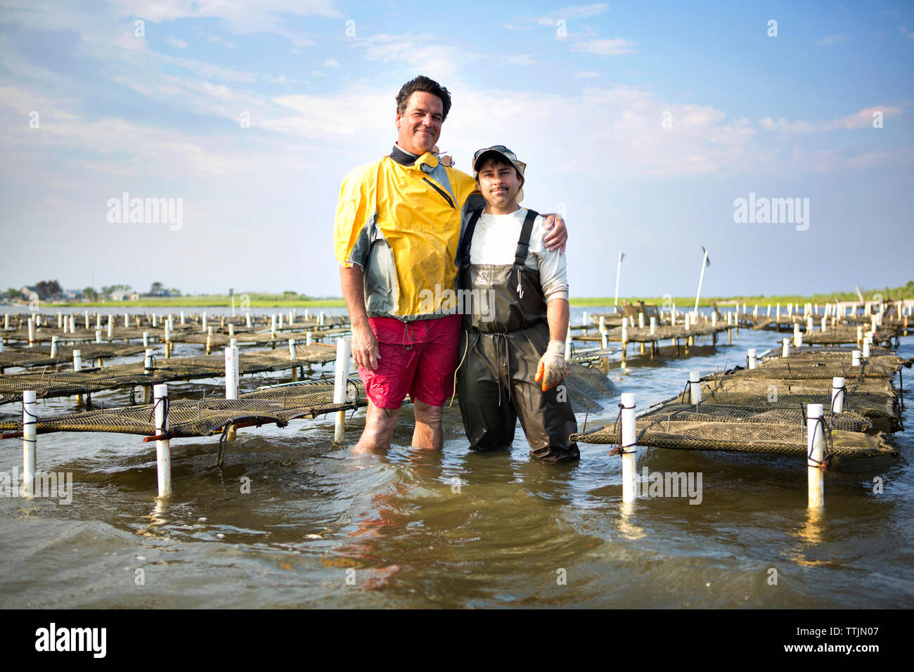 Ritratto di uomini con le braccia intorno a piedi in oyster farm Foto Stock