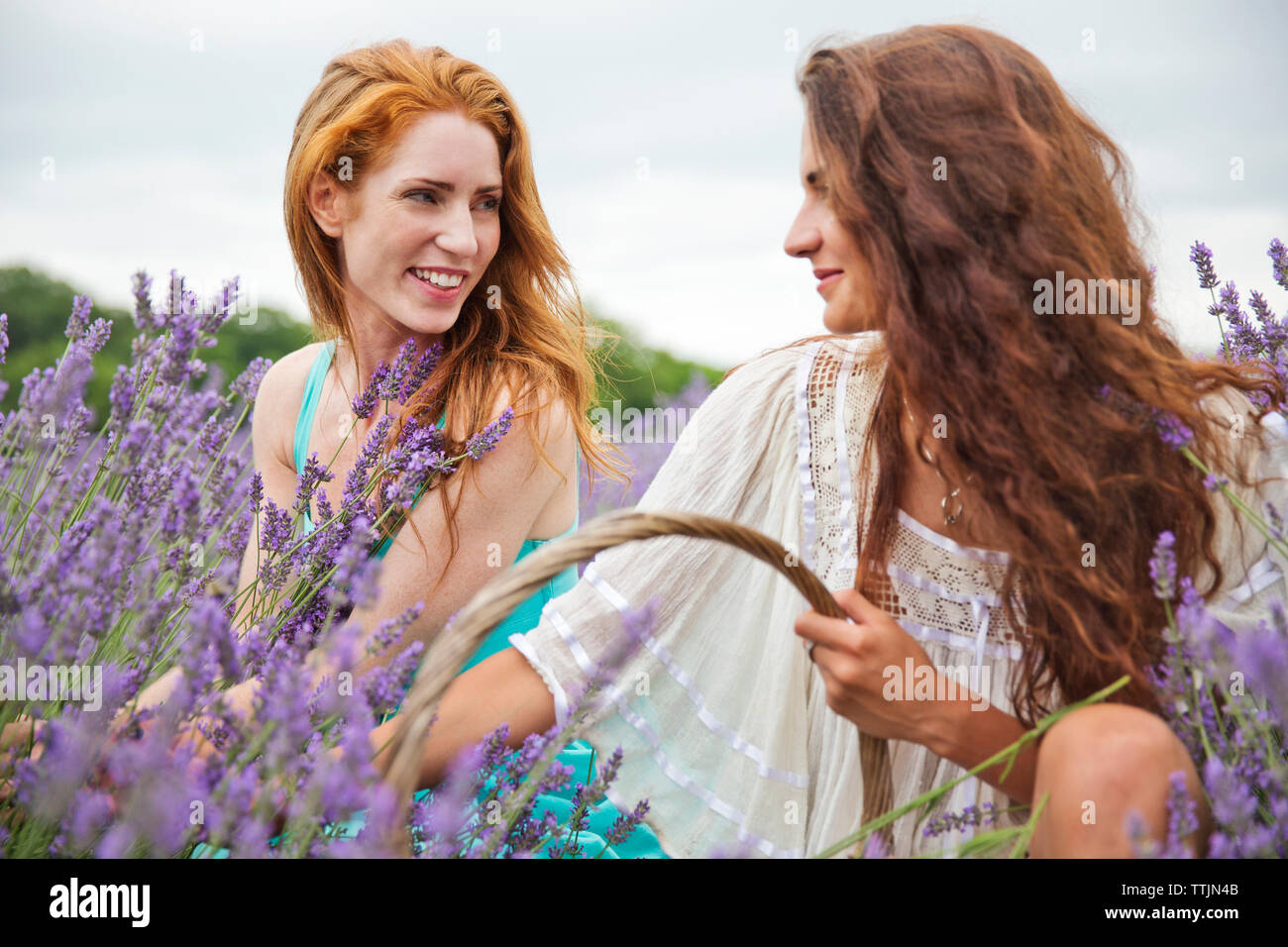 Amici sorridente guardando ogni altro mentre accovacciato in campo di lavanda Foto Stock