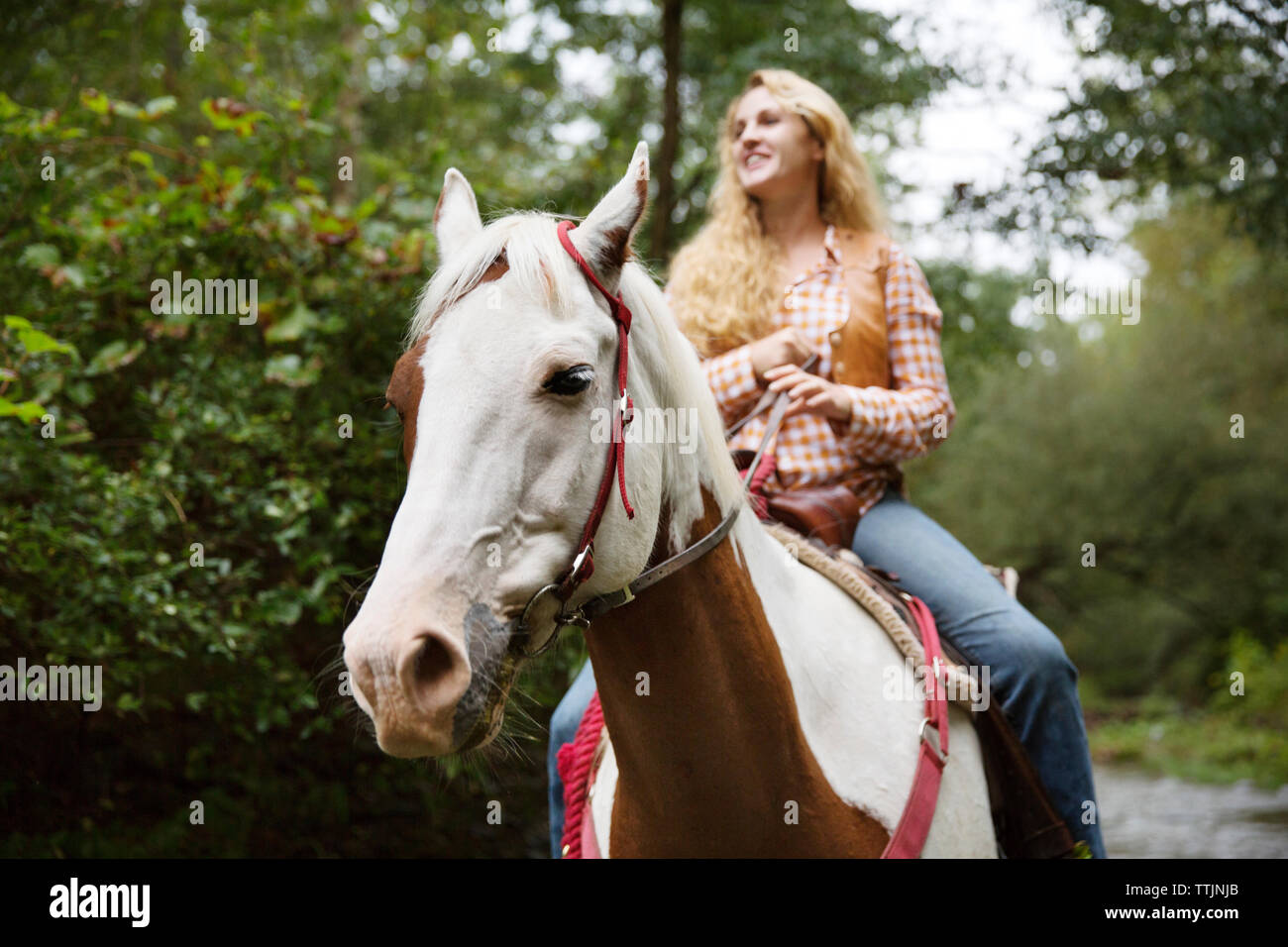 Donna sorridente che guarda lontano mentre a cavallo Foto Stock