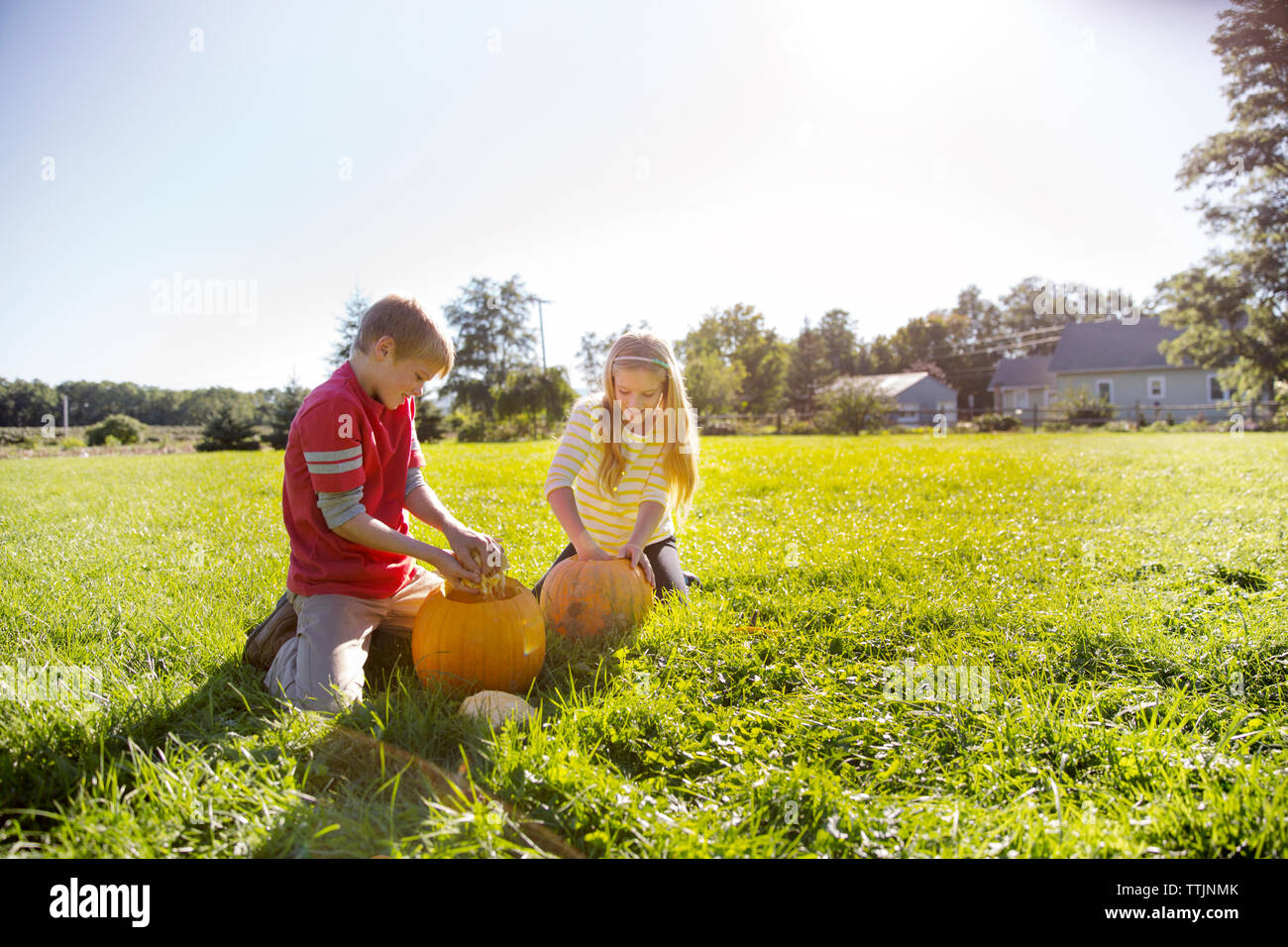 Fratello e Sorella di rimozione di polpa di zucca sul campo erboso contro il cielo chiaro Foto Stock