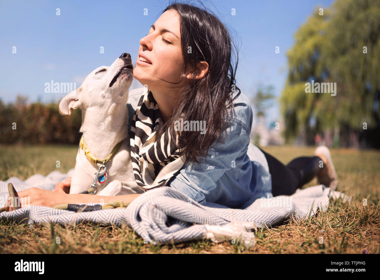 Amare la donna e cane sdraiato su una coperta in posizione di parcheggio Foto Stock