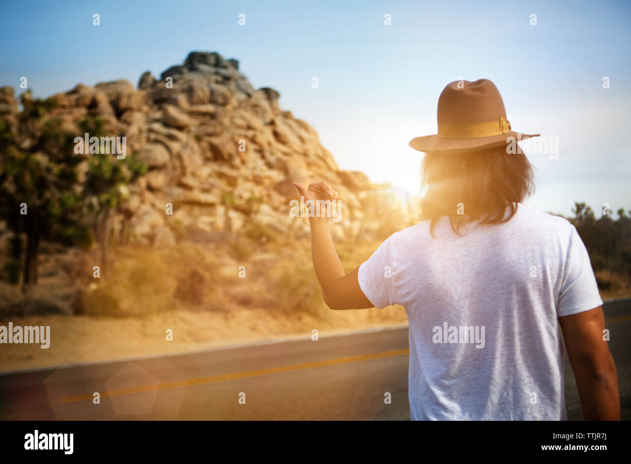Vista posteriore dell'uomo autostop mentre permanente sulla strada Foto Stock
