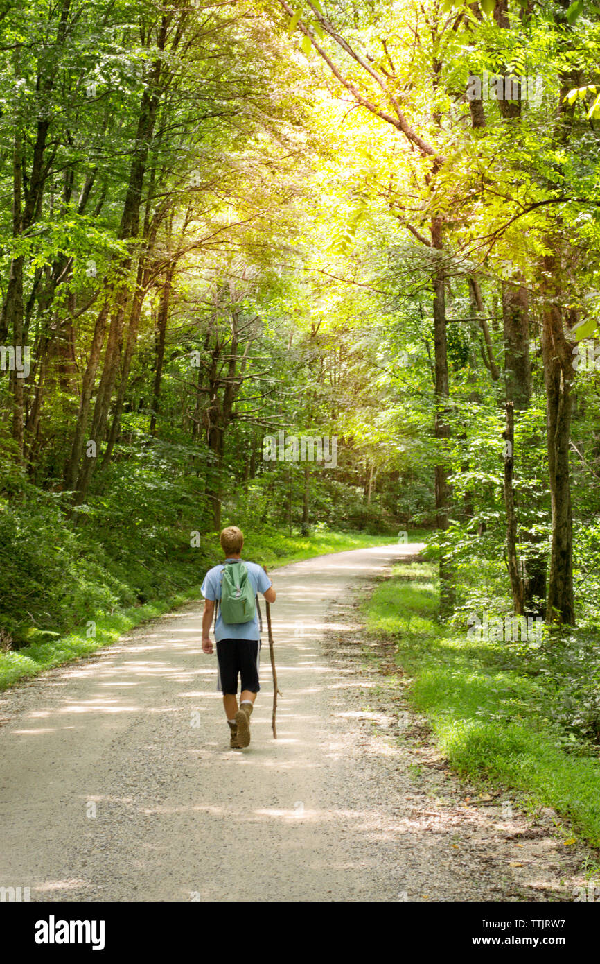 Vista posteriore di un escursionista con zaino camminando sul sentiero in mezzo di alberi Foto Stock