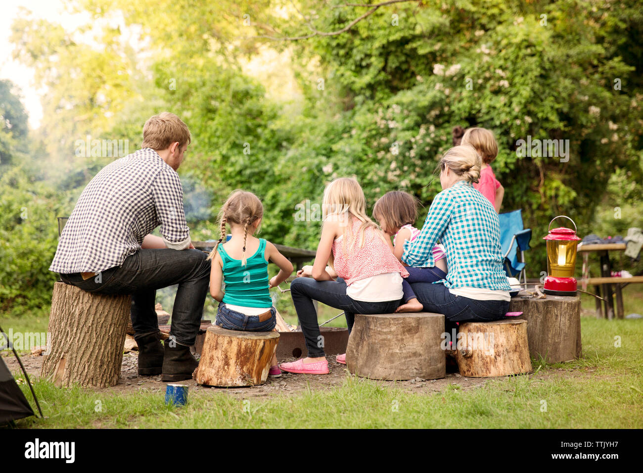 Vista posteriore della famiglia seduta su ceppi di alberi al Summer Camp Foto Stock