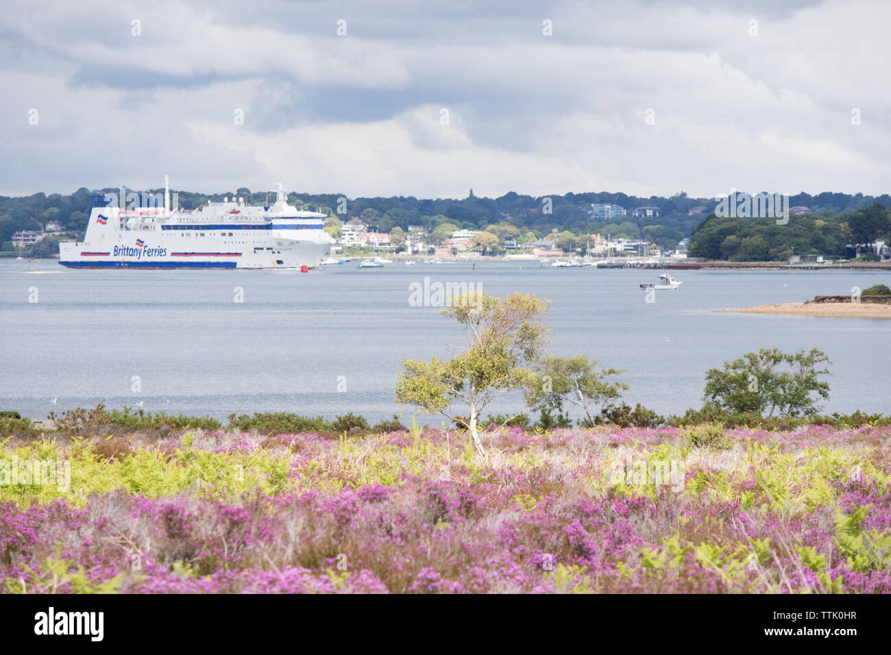 La brughiera di Studland Bay cercando in tutta verso la piscina porto e un Brittany traghetto in partenza per la Francia, Poole, Dorset, England, Regno Unito Foto Stock