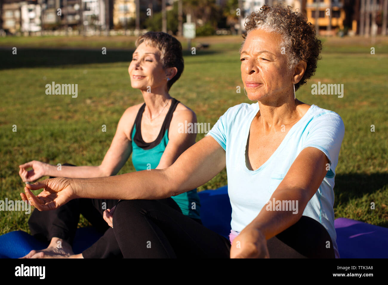 Amici meditando sul campo erboso in posizione di parcheggio Foto Stock