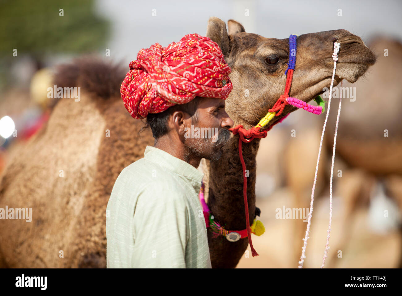 Uomo in piedi con il cammello a Pushkar Fair Foto Stock